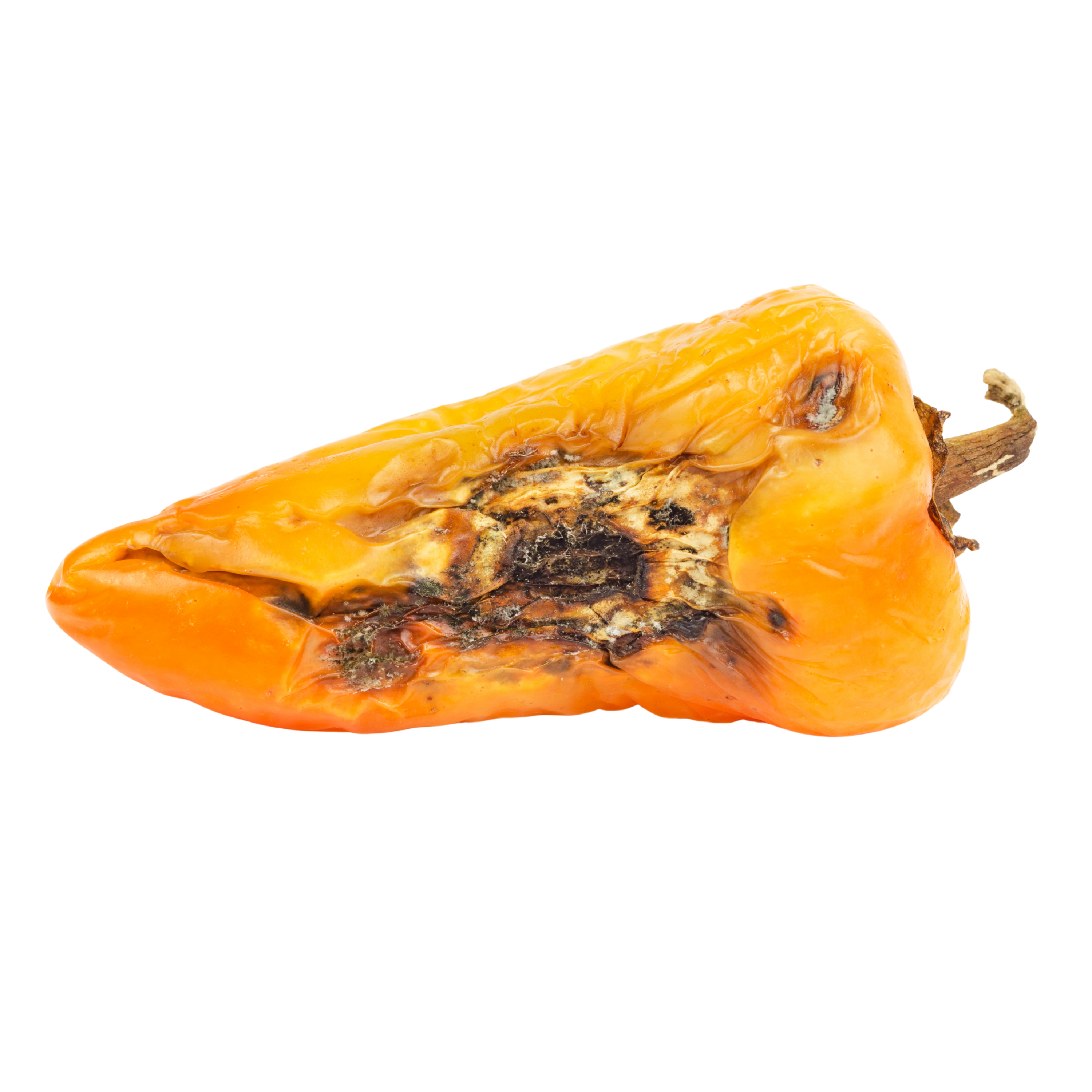 paprika